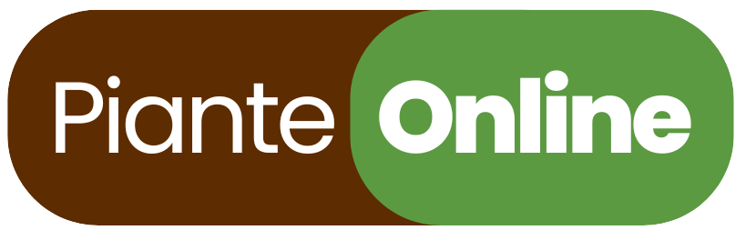 Vendita Online piante